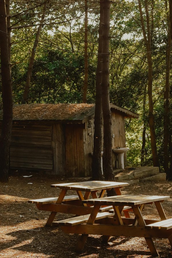 Tables de pique-nique : choix, matériaux et prix pour votre espace public